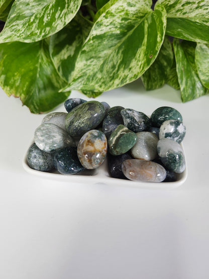 MOSS AGATE TUMBLED STONE