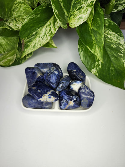 SODALITE TUMBLED STONES