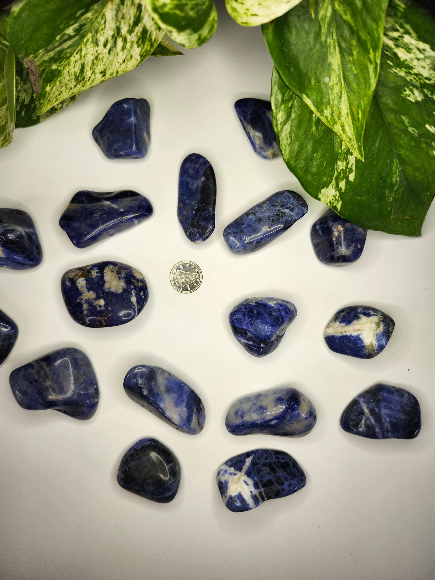 SODALITE TUMBLED STONES