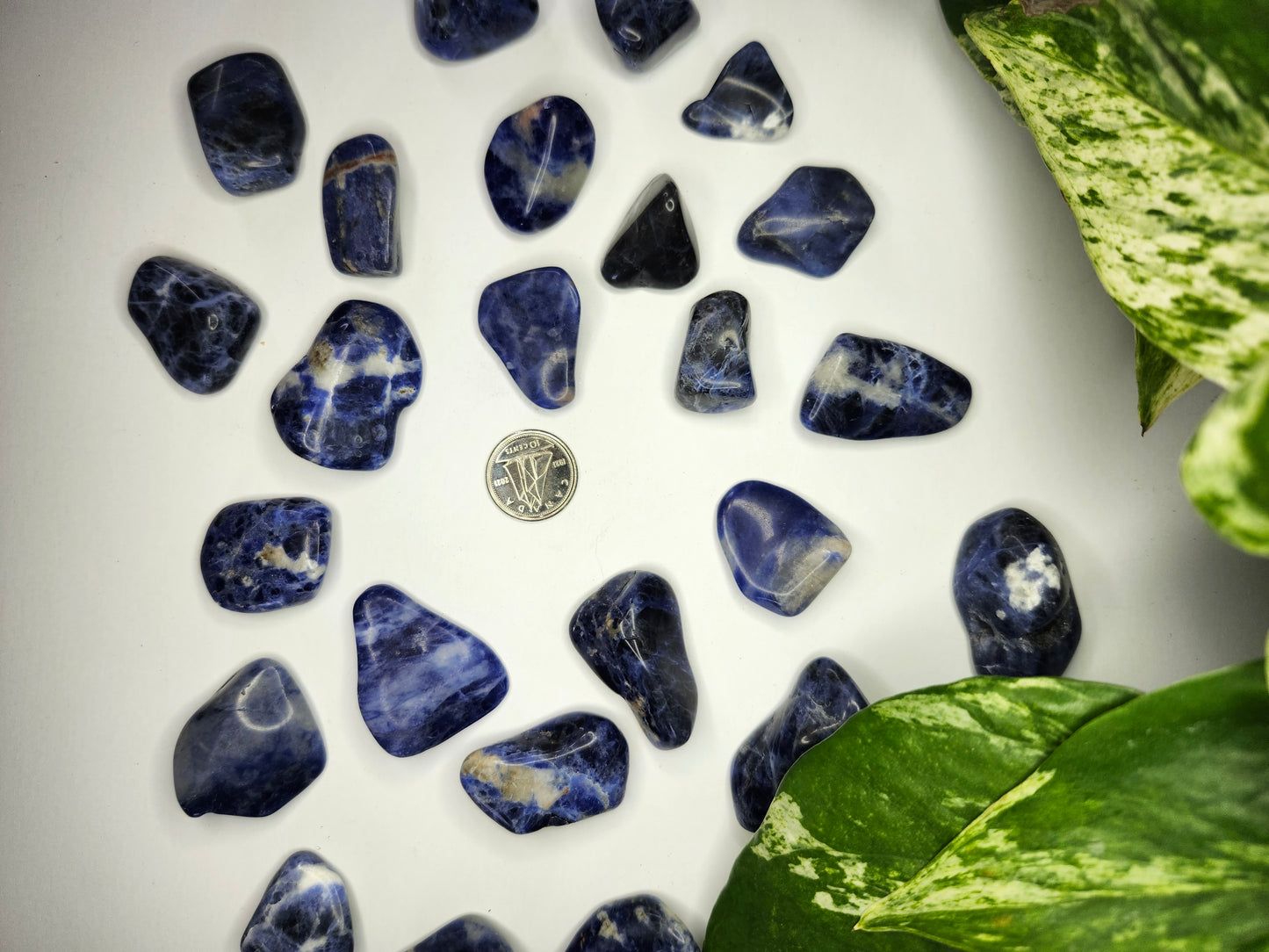 SODALITE TUMBLED STONES