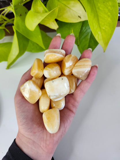 YELLOW CALCITE TUMBLED STONE