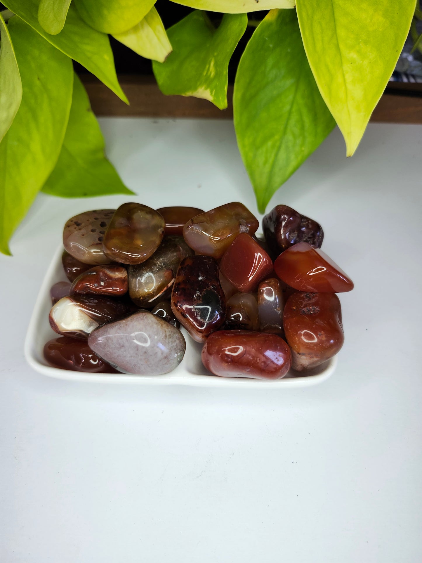 CARNELIAN AGATE TUMBLED STONE