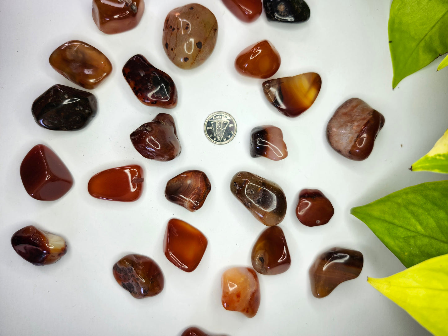 CARNELIAN AGATE TUMBLED STONE