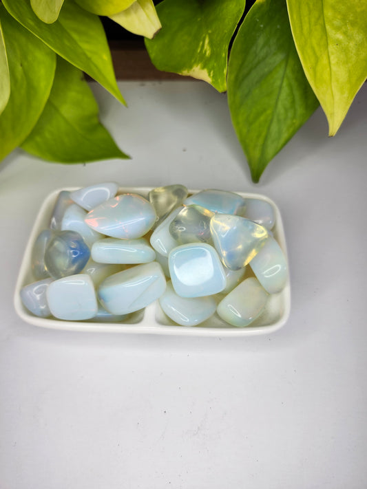 OPALITE TUMBLED STONE