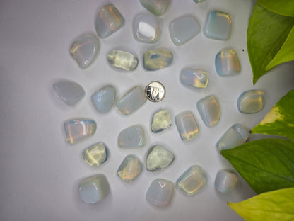 OPALITE TUMBLED STONE