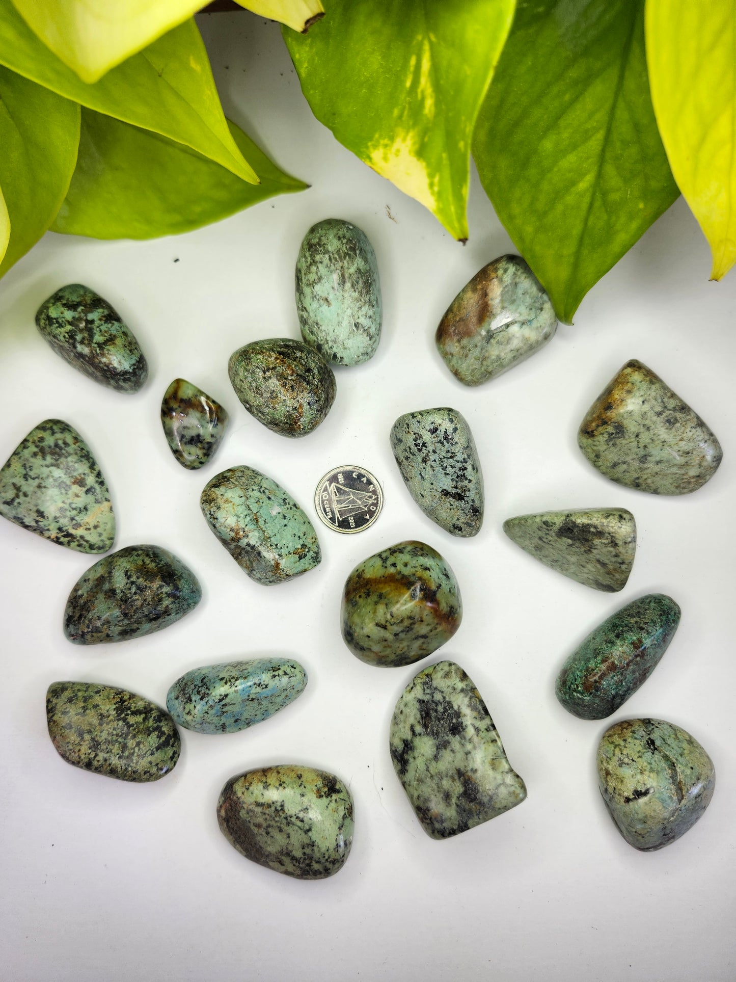 AFRICAN TURQUOISE TUMBLE STONE