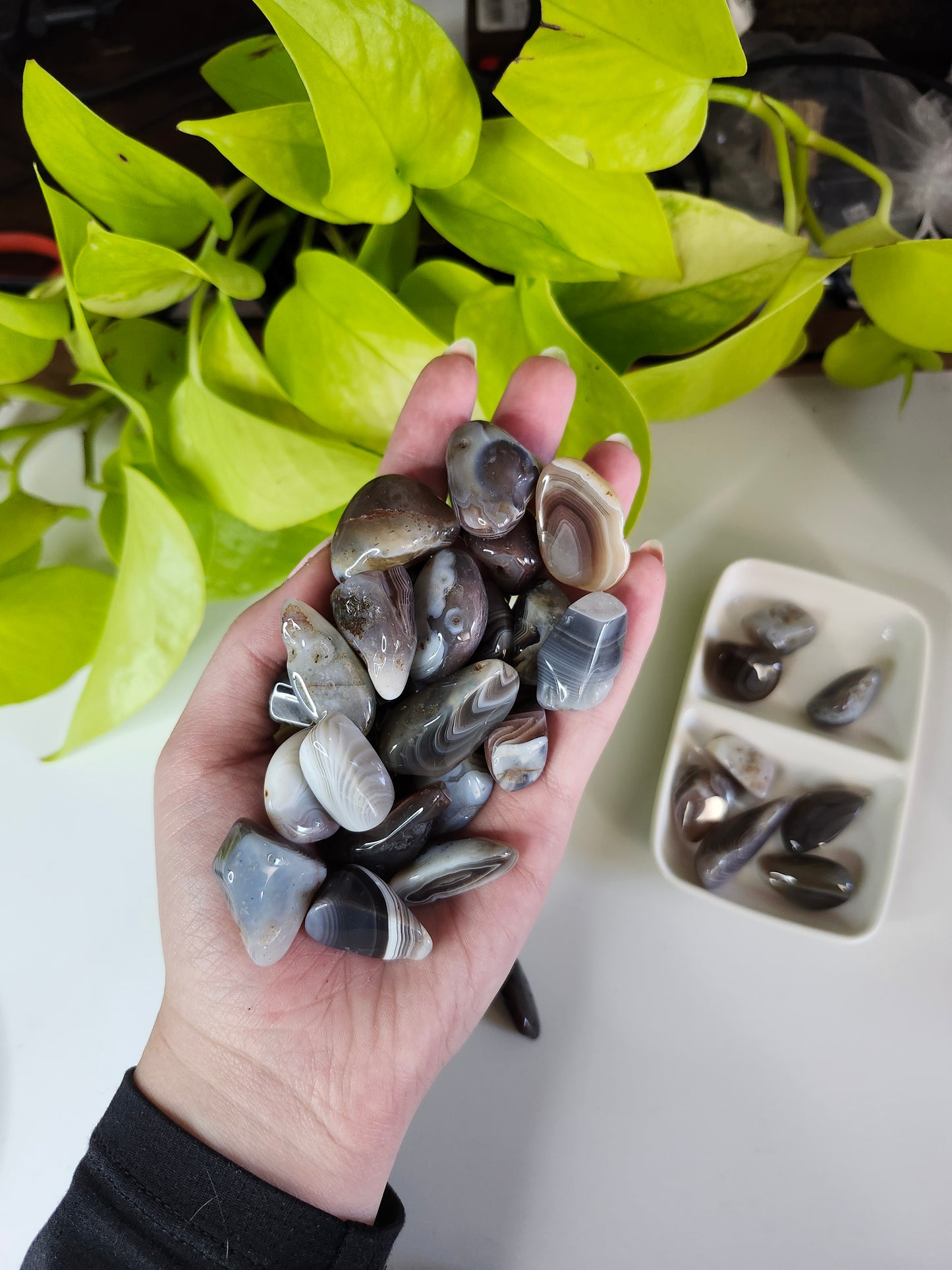 BOTSWANA AGATE TUMBLED STONE