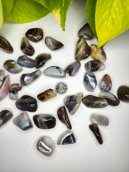 BOTSWANA AGATE TUMBLED STONE