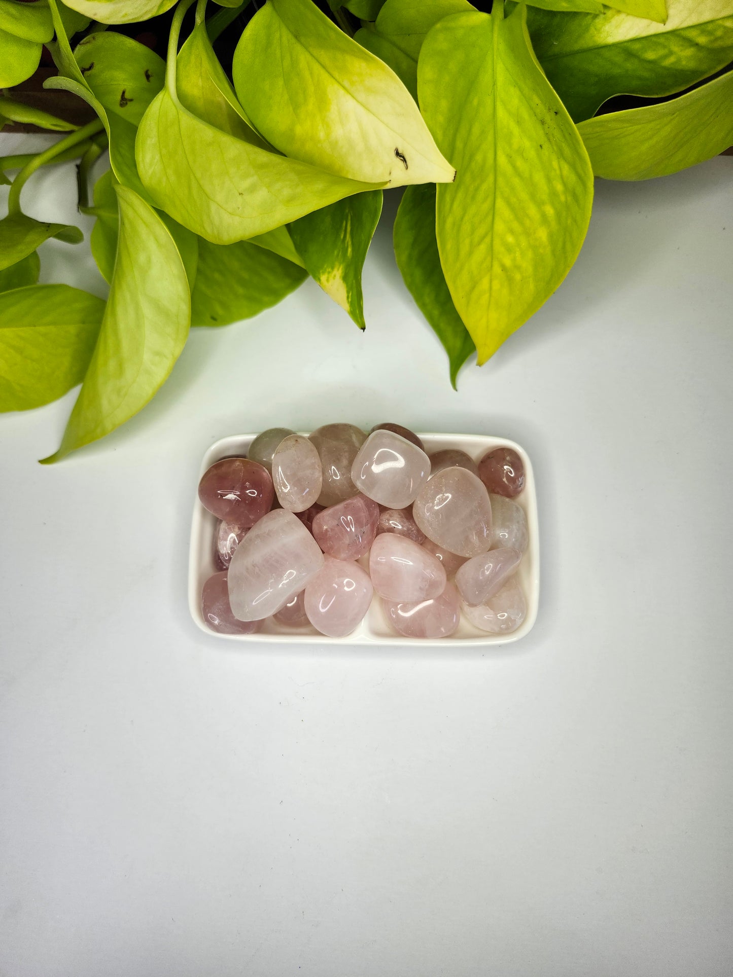 ROSE QUARTZ TUMBLED STONE