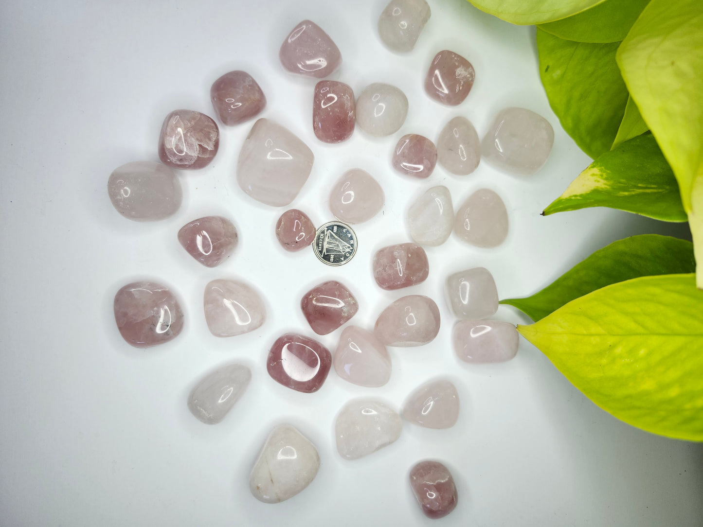 ROSE QUARTZ TUMBLED STONE