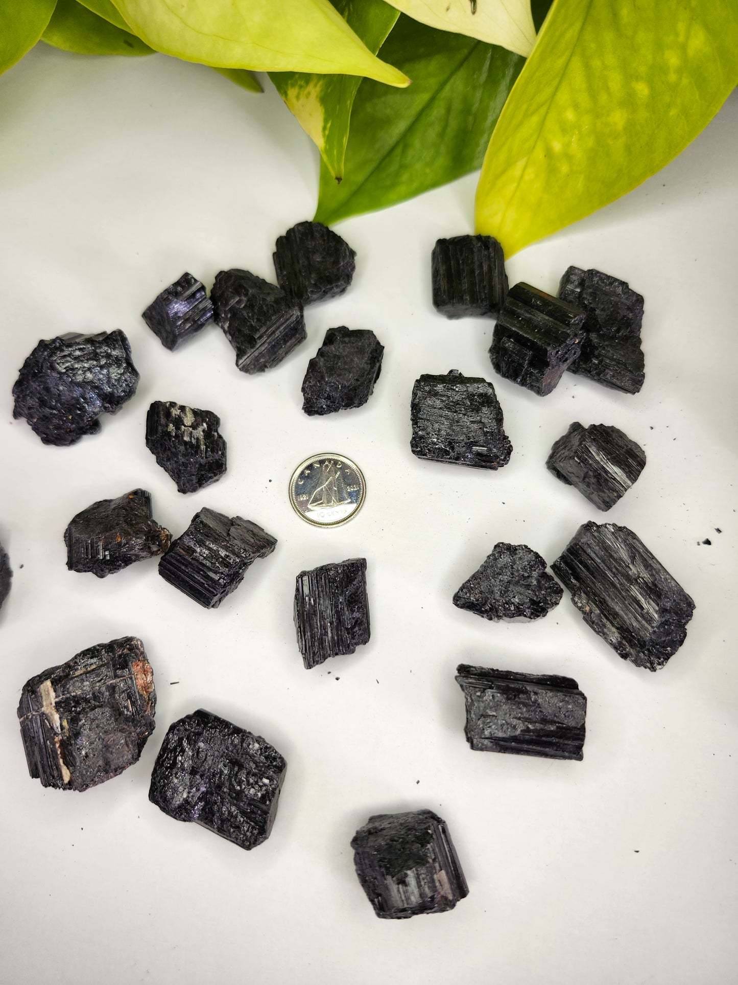 BLACK TOURMALINE ROUGH STONE