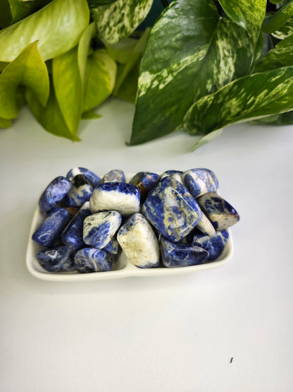 SODALITE TUMBLED STONES