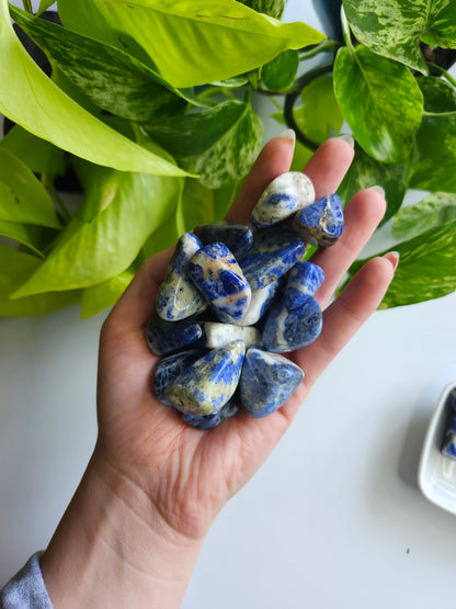 SODALITE TUMBLED STONES