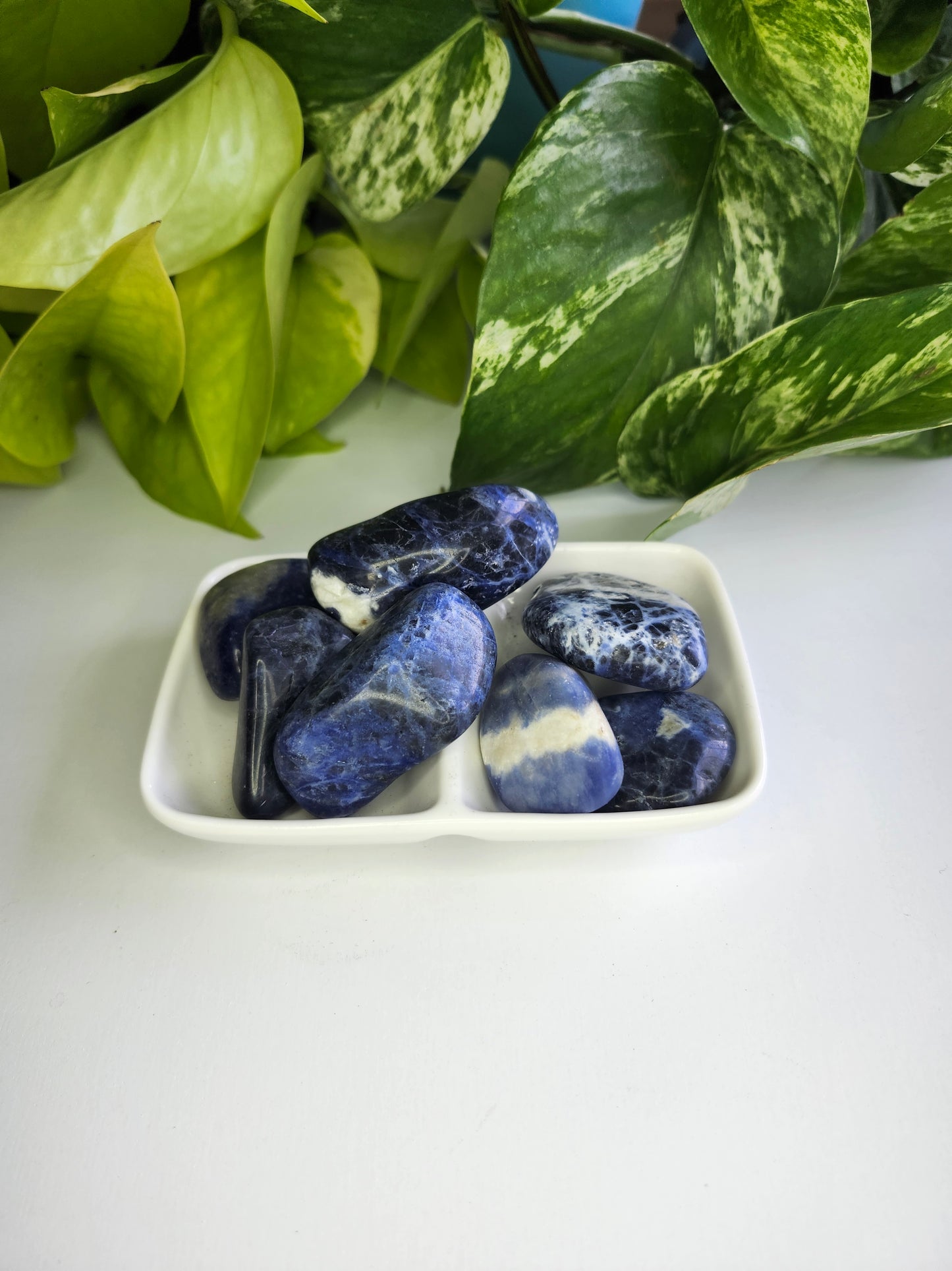 SODALITE TUMBLED STONES