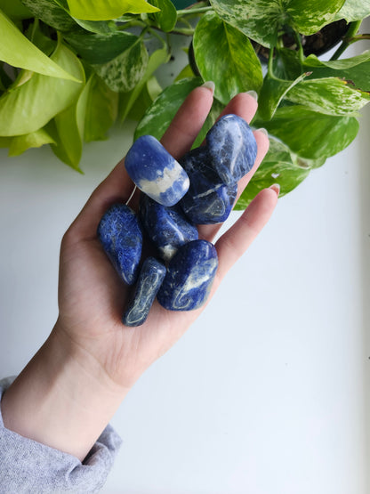 SODALITE TUMBLED STONES