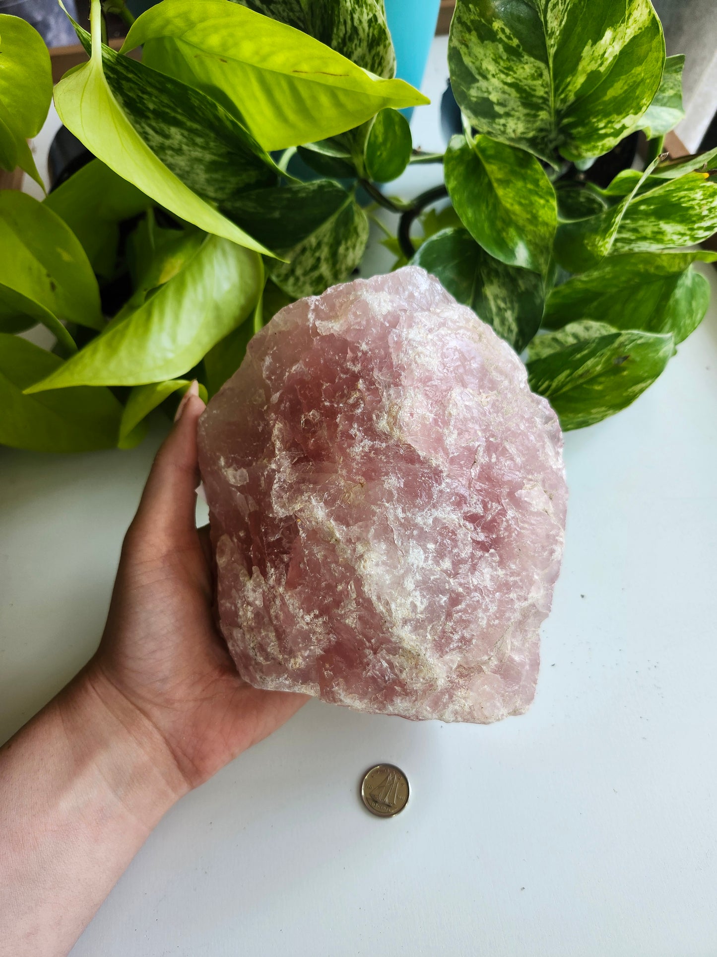 LARGE ROSE QUARTZ