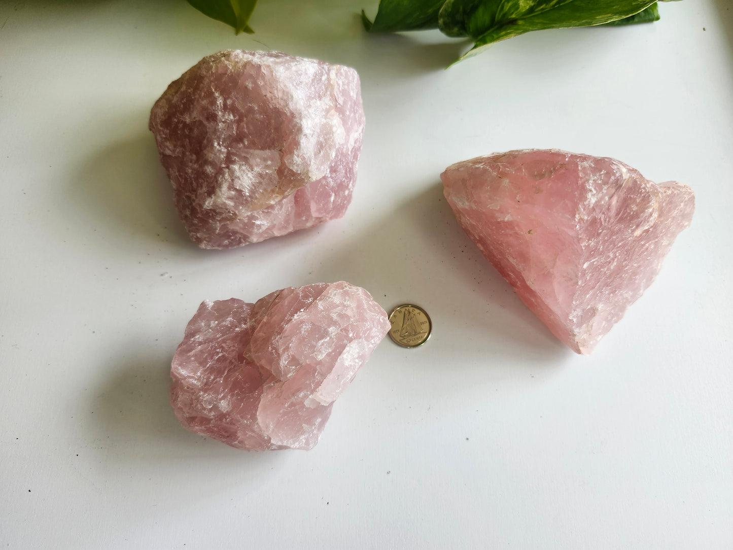 LARGE ROSE QUARTZ