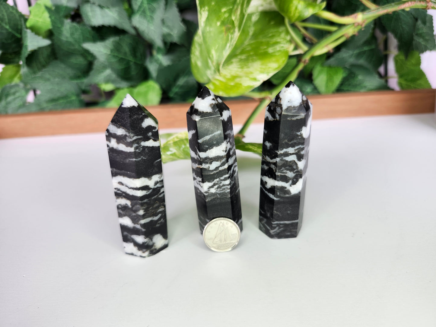 ZEBRA STONE TOWER