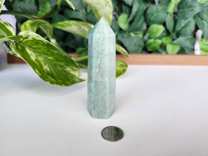 AMAZONITE TOWER