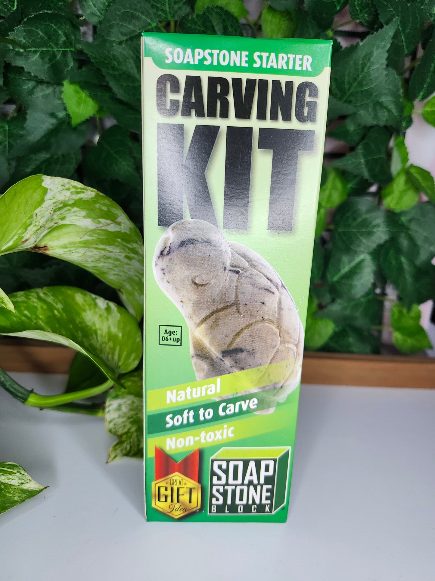 SOAPSTONE CARVING KITS