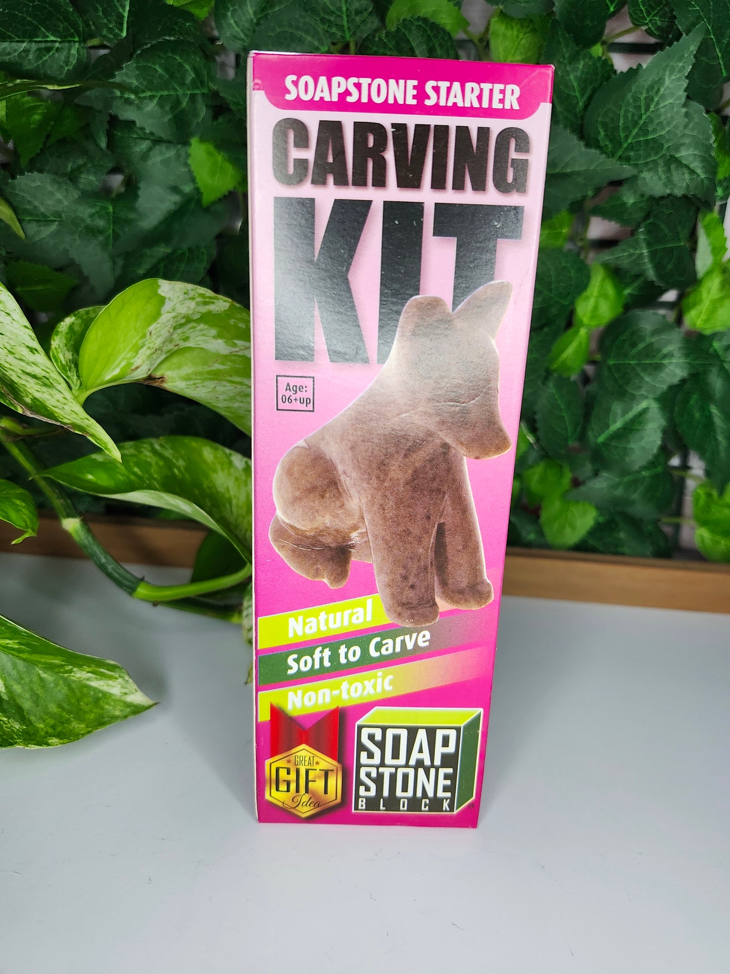 SOAPSTONE CARVING KITS