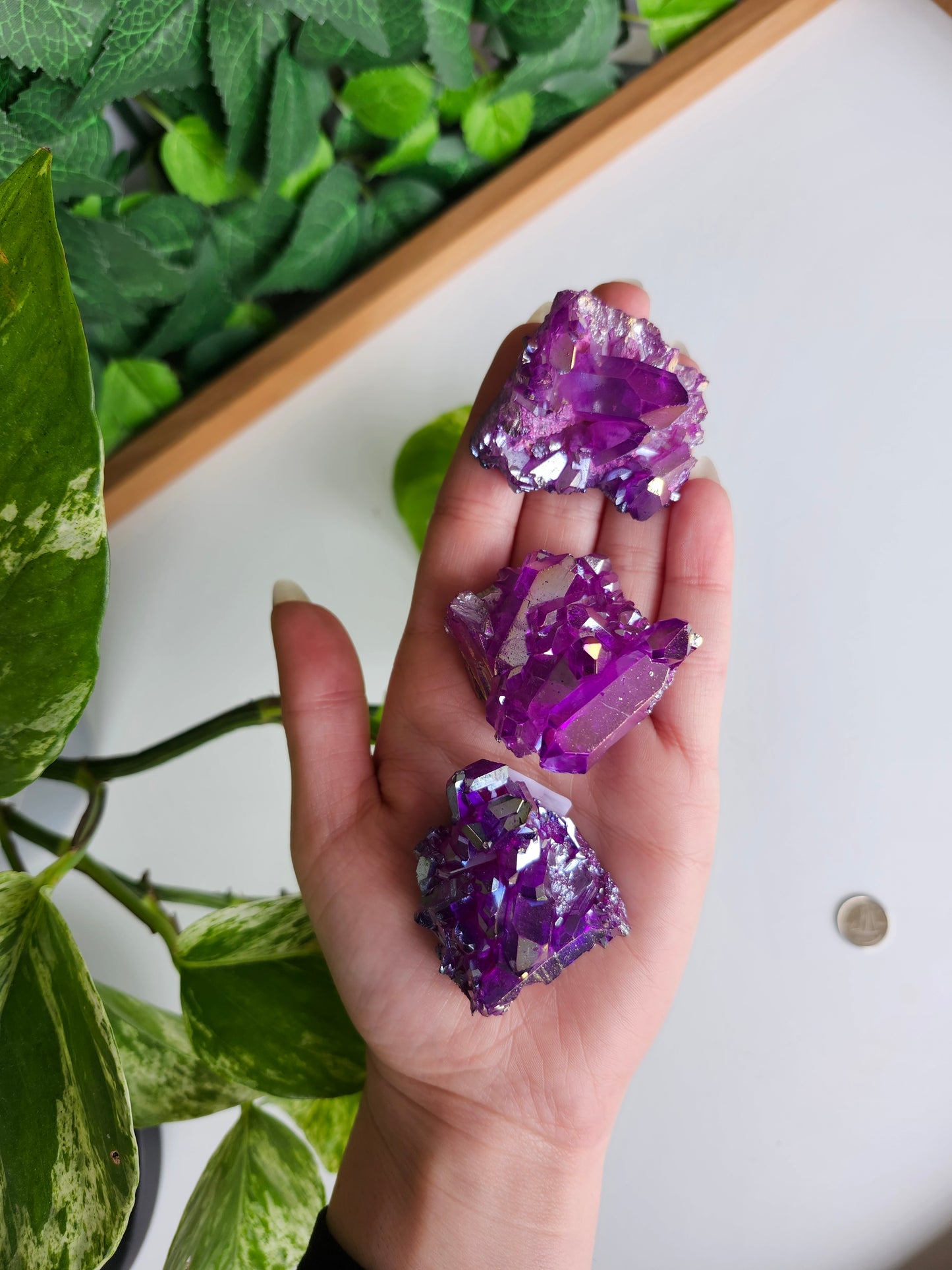 PURPLE AURA CLEAR QUARTZ CLUSTER