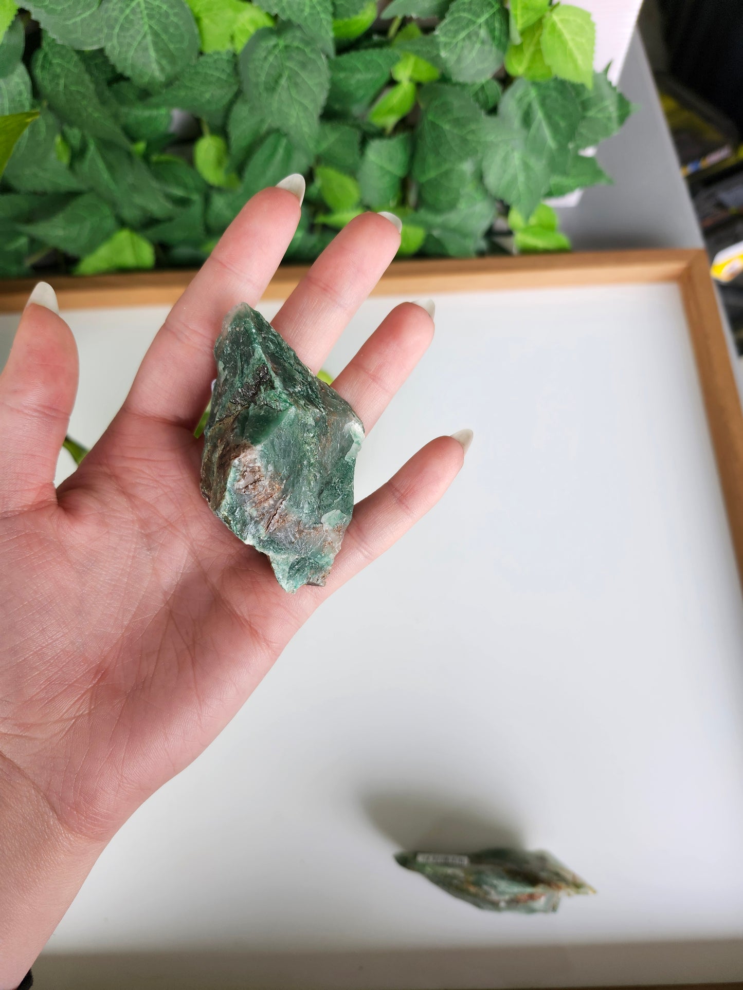 JADE SPECIMEN