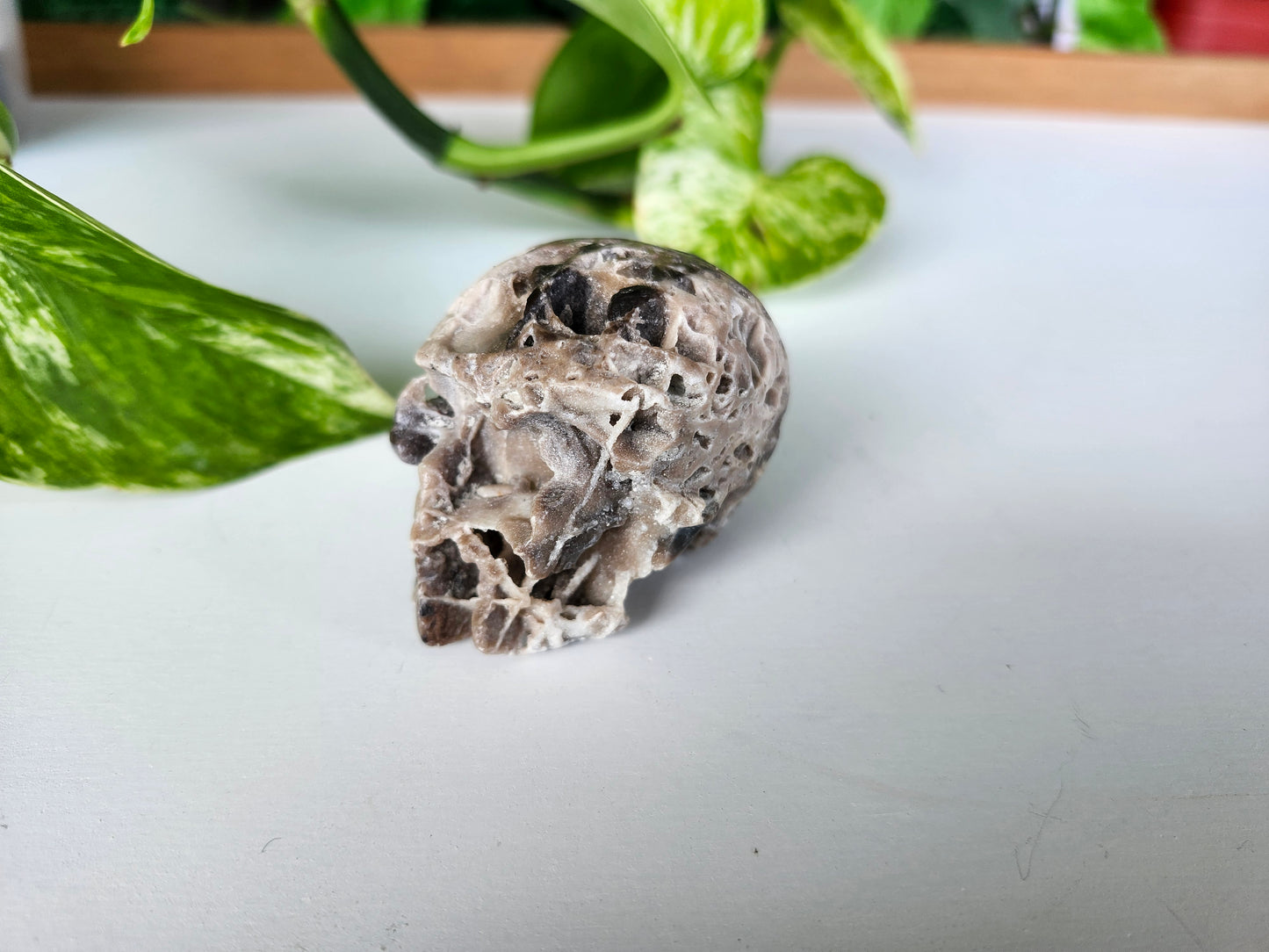 SAPHAELRITE SKULL (CARVING)