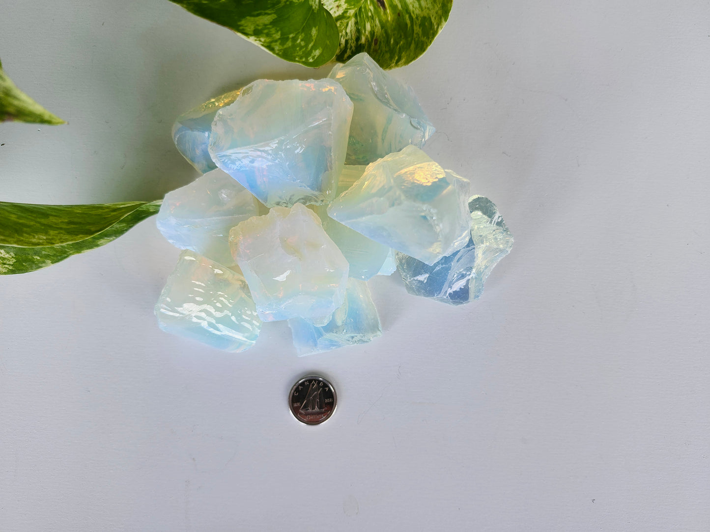 OPALITE ROUGH STONE