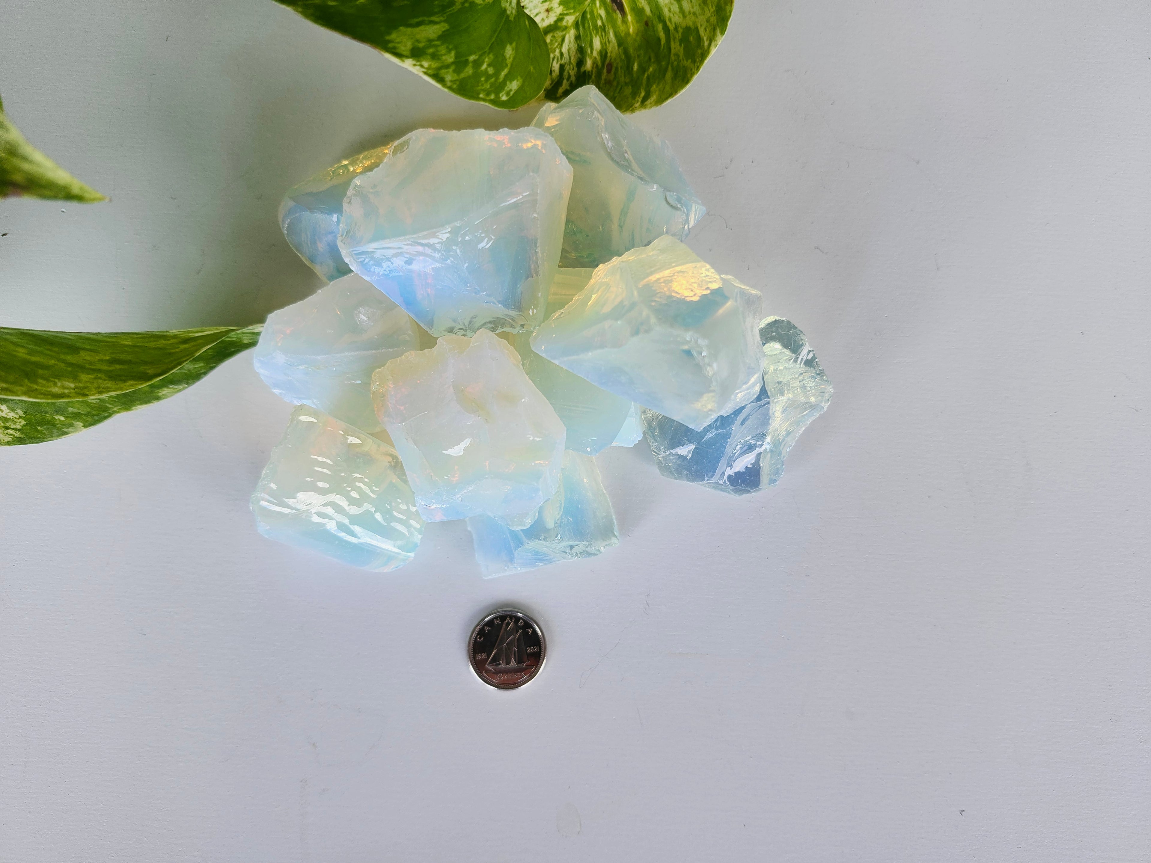 OPALITE ROUGH STONE