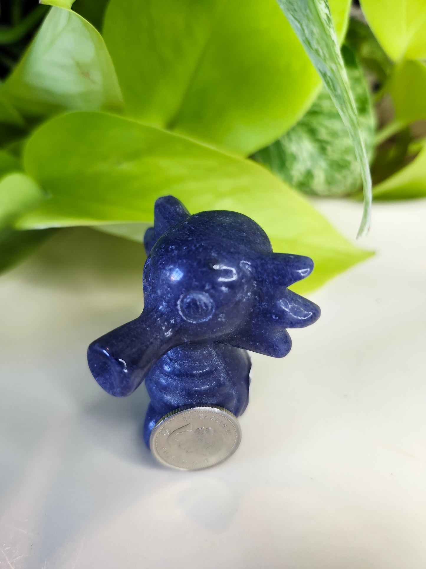 BLUE ADVENTURINE SEADRA (POKEMON)