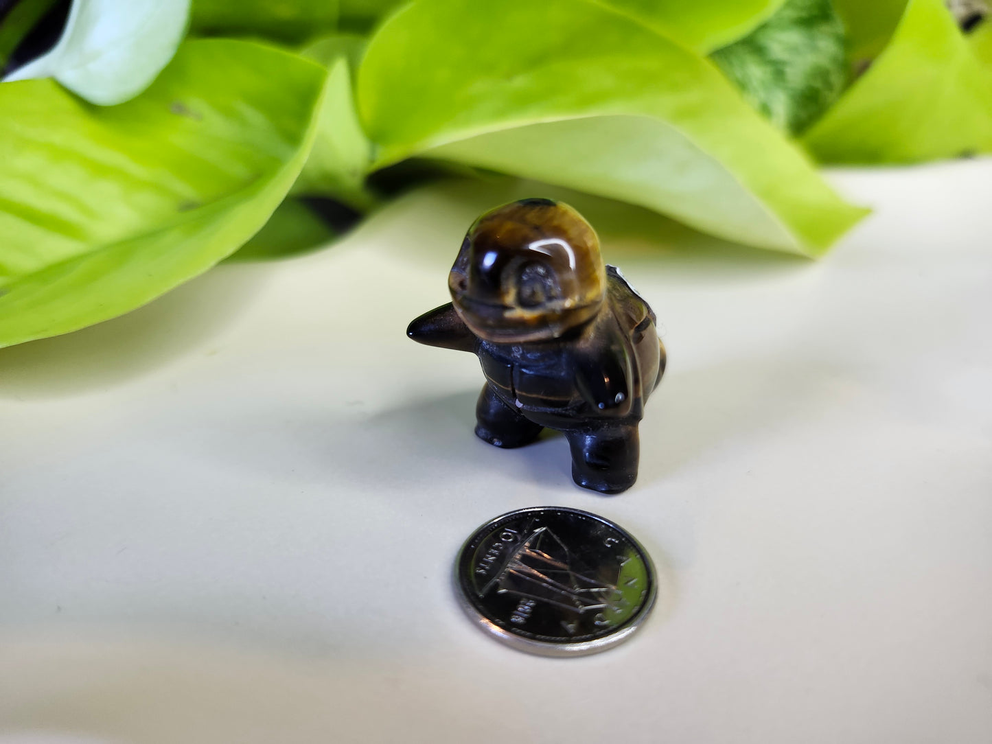 TIGERS EYE SQUIRTLE (POKEMON)