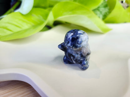 SODALITE SQUIRTLE