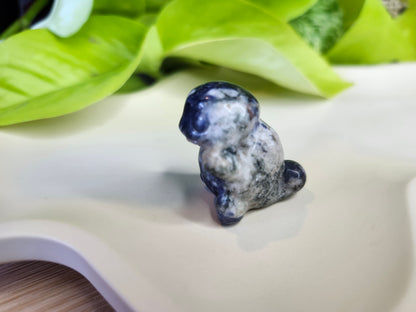 SODALITE SQUIRTLE