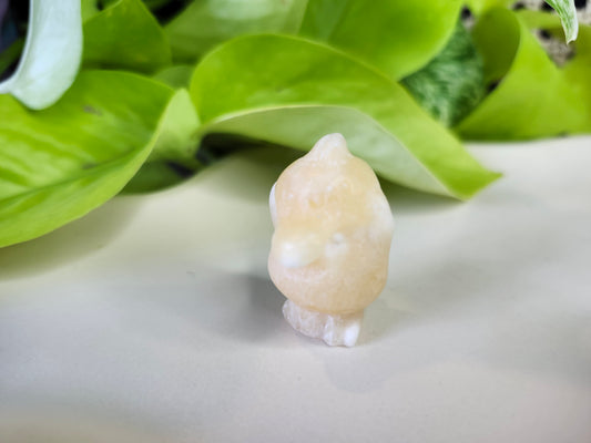 ORANGE CALCITE PSYDUCK