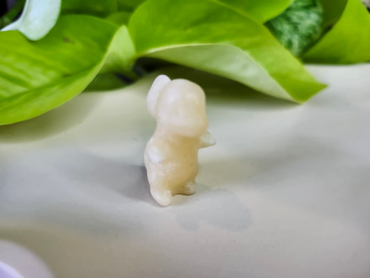 ORANGE CALCITE CHARMANDER