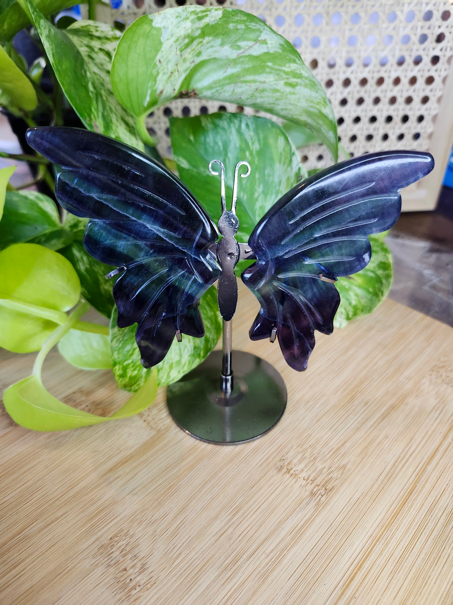 FLUORITE BUTTERFLY WINGS