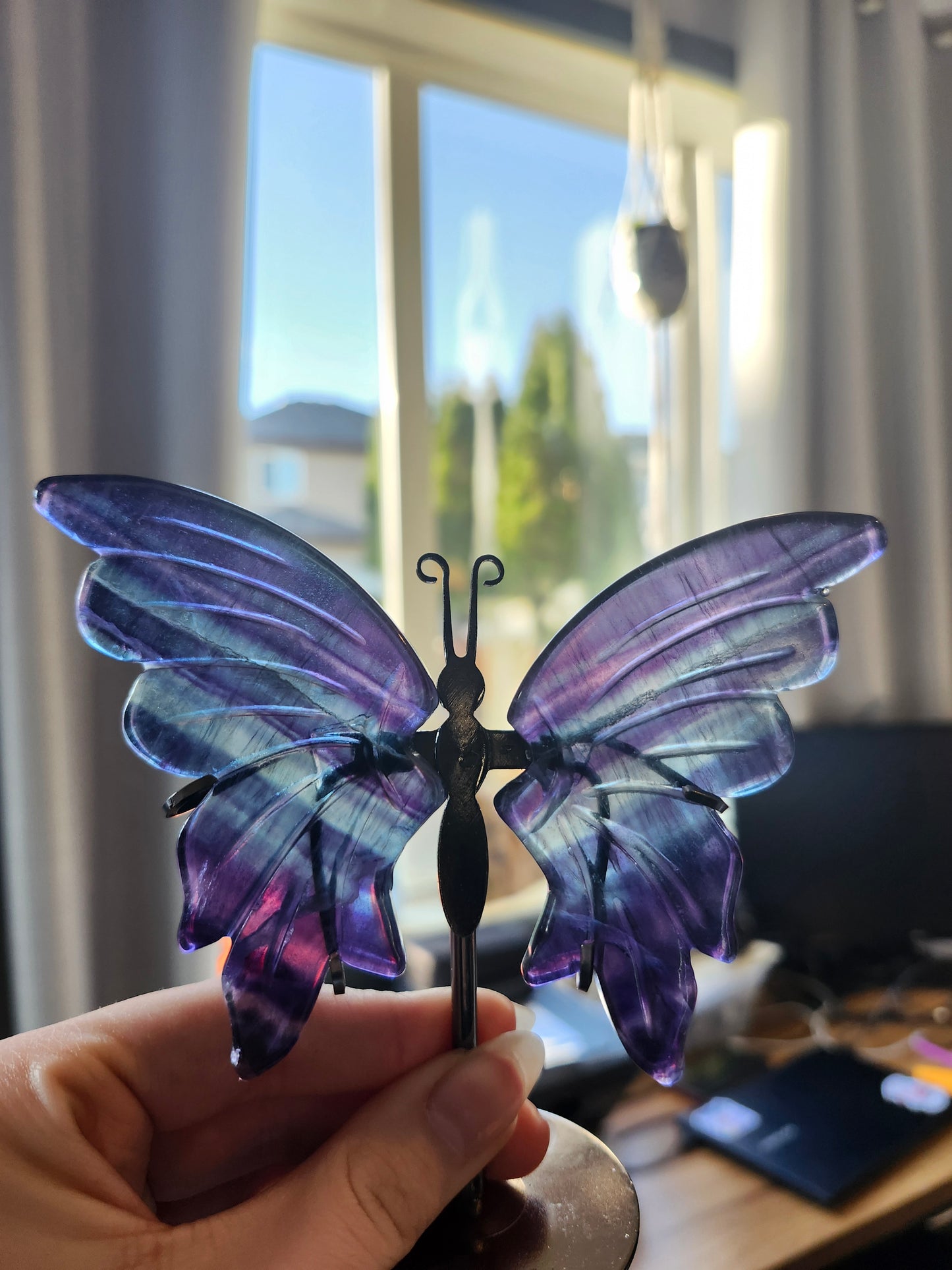 FLUORITE BUTTERFLY WINGS