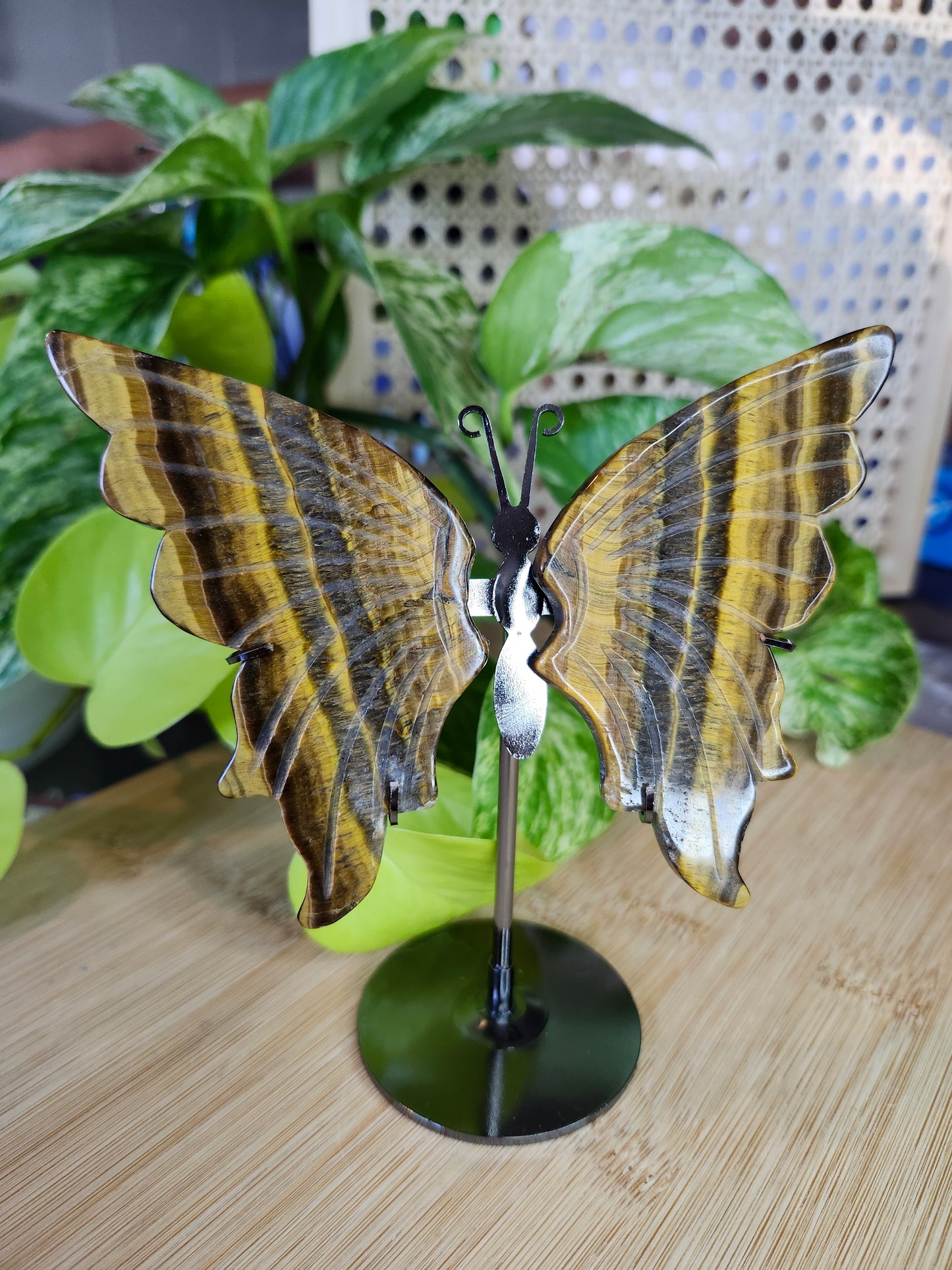 TIGERS EYE BUTTERFLY WINGS