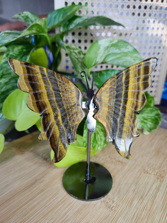 TIGERS EYE BUTTERFLY WINGS