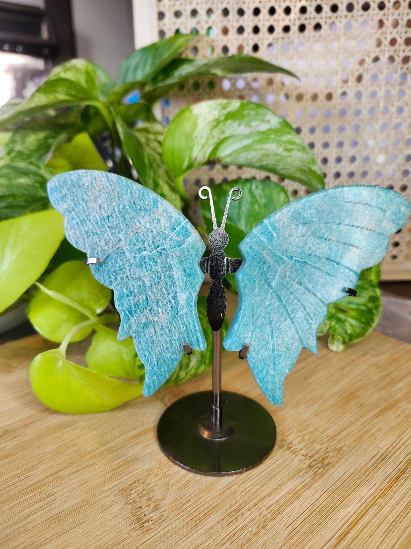 AMAZONITE BUTTERFLY WINGS