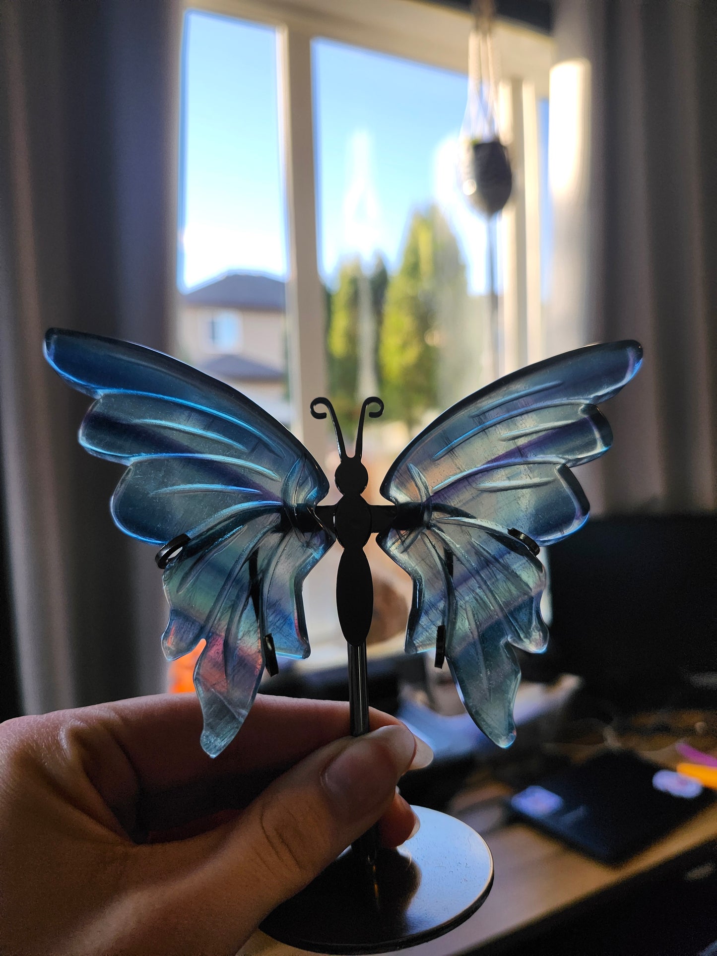 FLUORITE BUTTERFLY WINGS