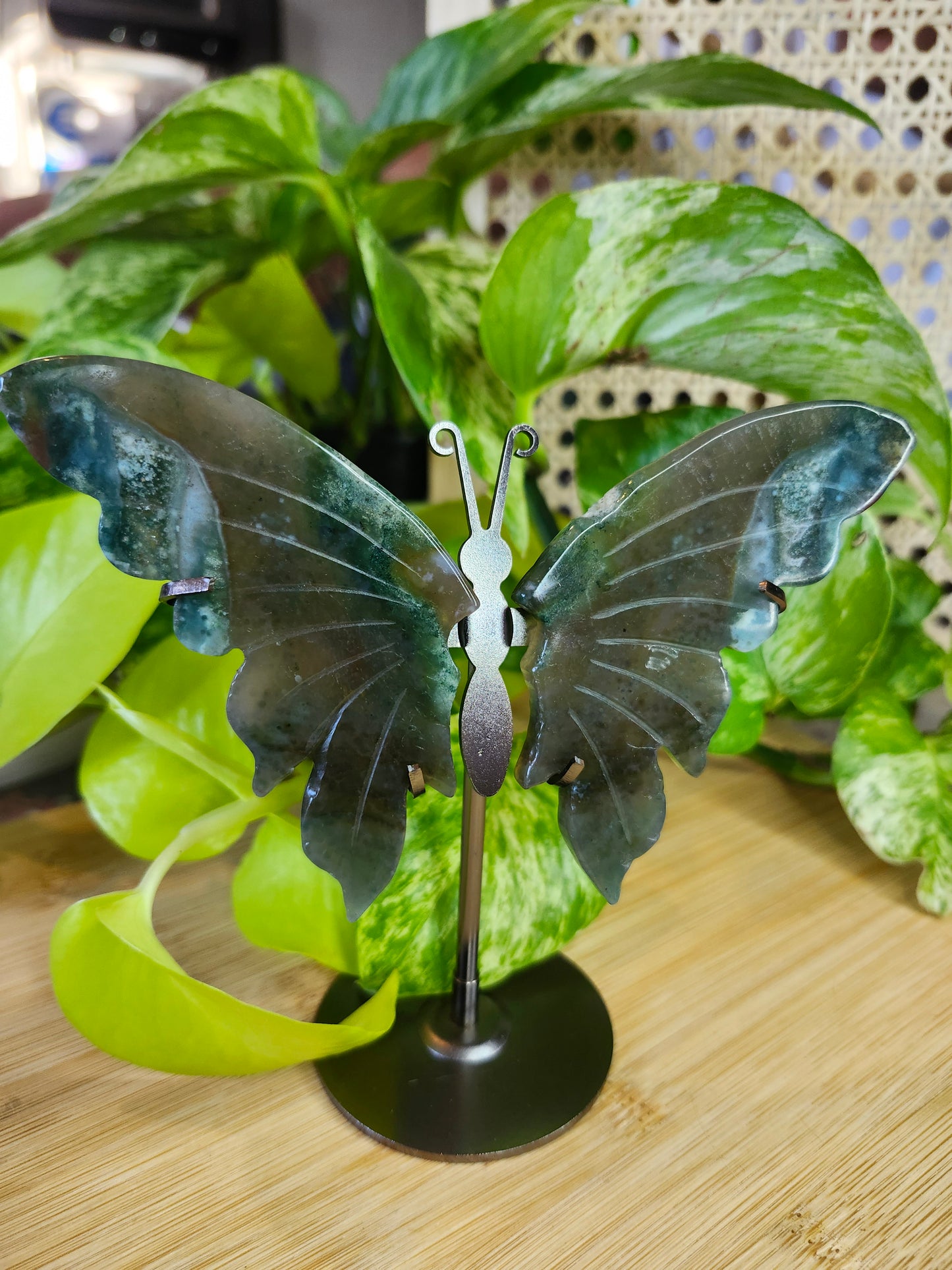 MOSS AGATE BUTTERFLY WINGS