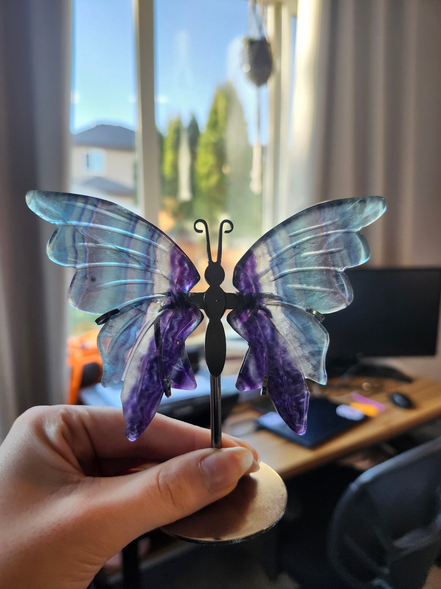 FLUORITE BUTTERFLY WINGS