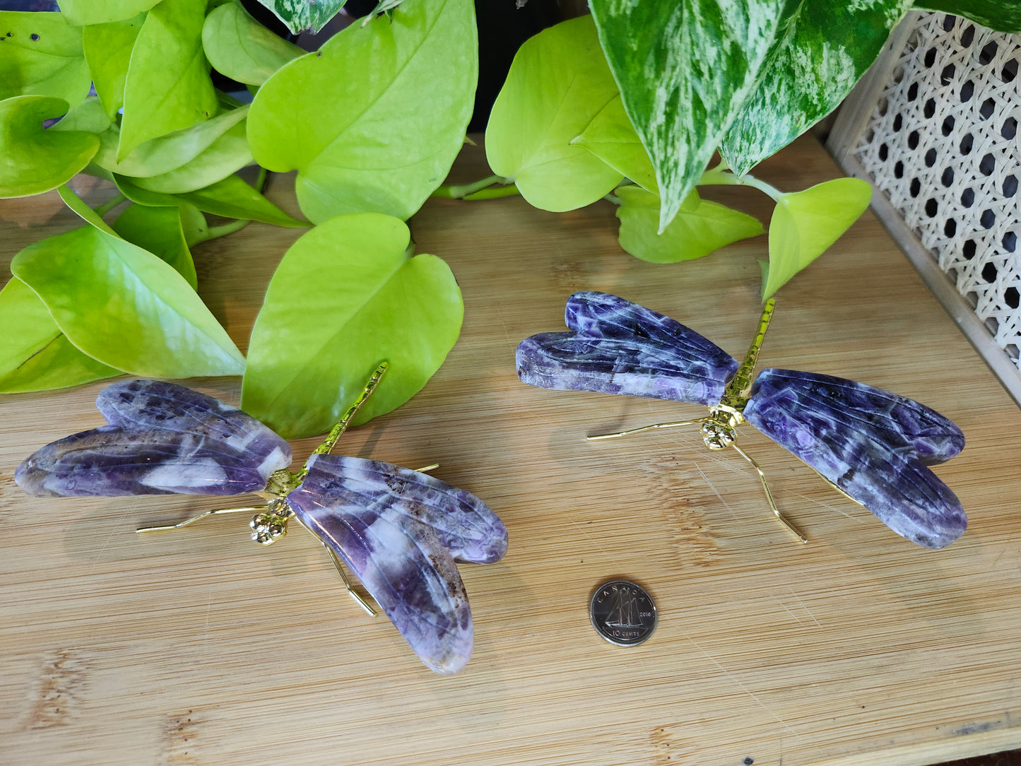 AMETHYST DRAGONFLY  (CARVING)