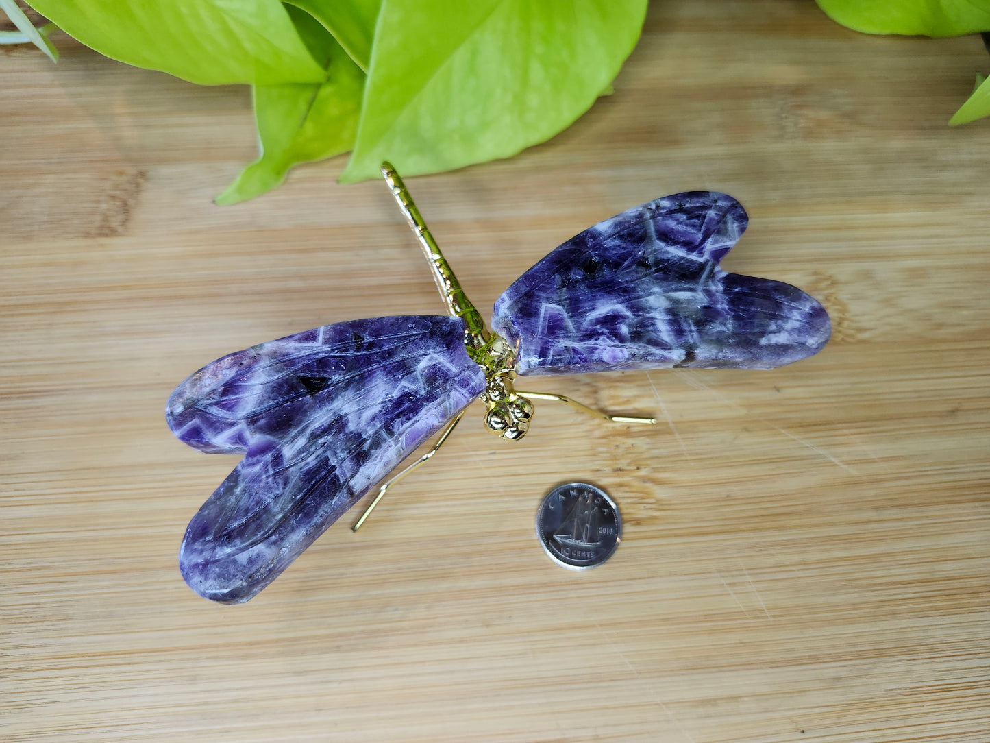 AMETHYST DRAGONFLY  (CARVING)