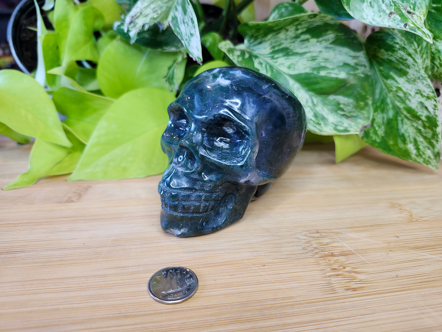 MOSS AGATE SKULL (CARVING)