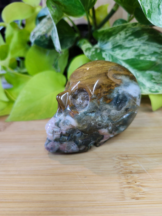 OCEAN JASPER SKULL (CARVING)