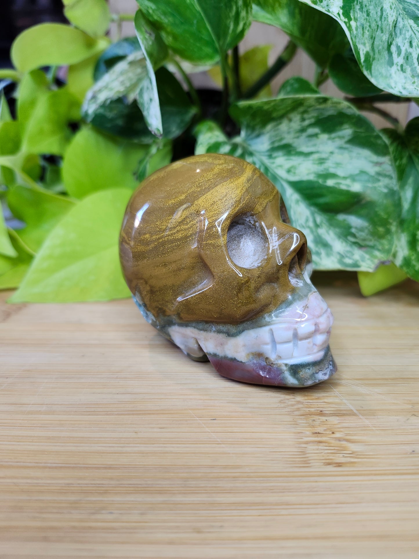 OCEAN JASPER SKULL (CARVING)