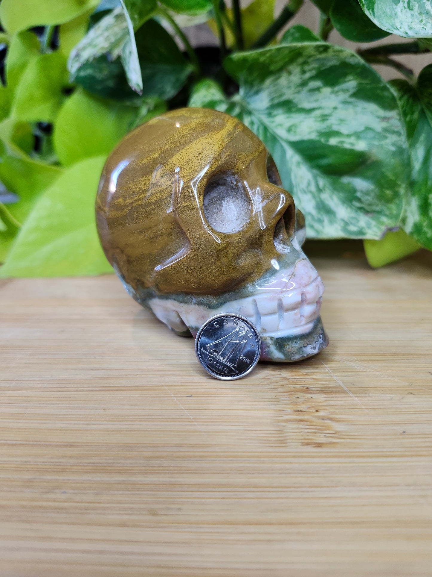 OCEAN JASPER SKULL (CARVING)